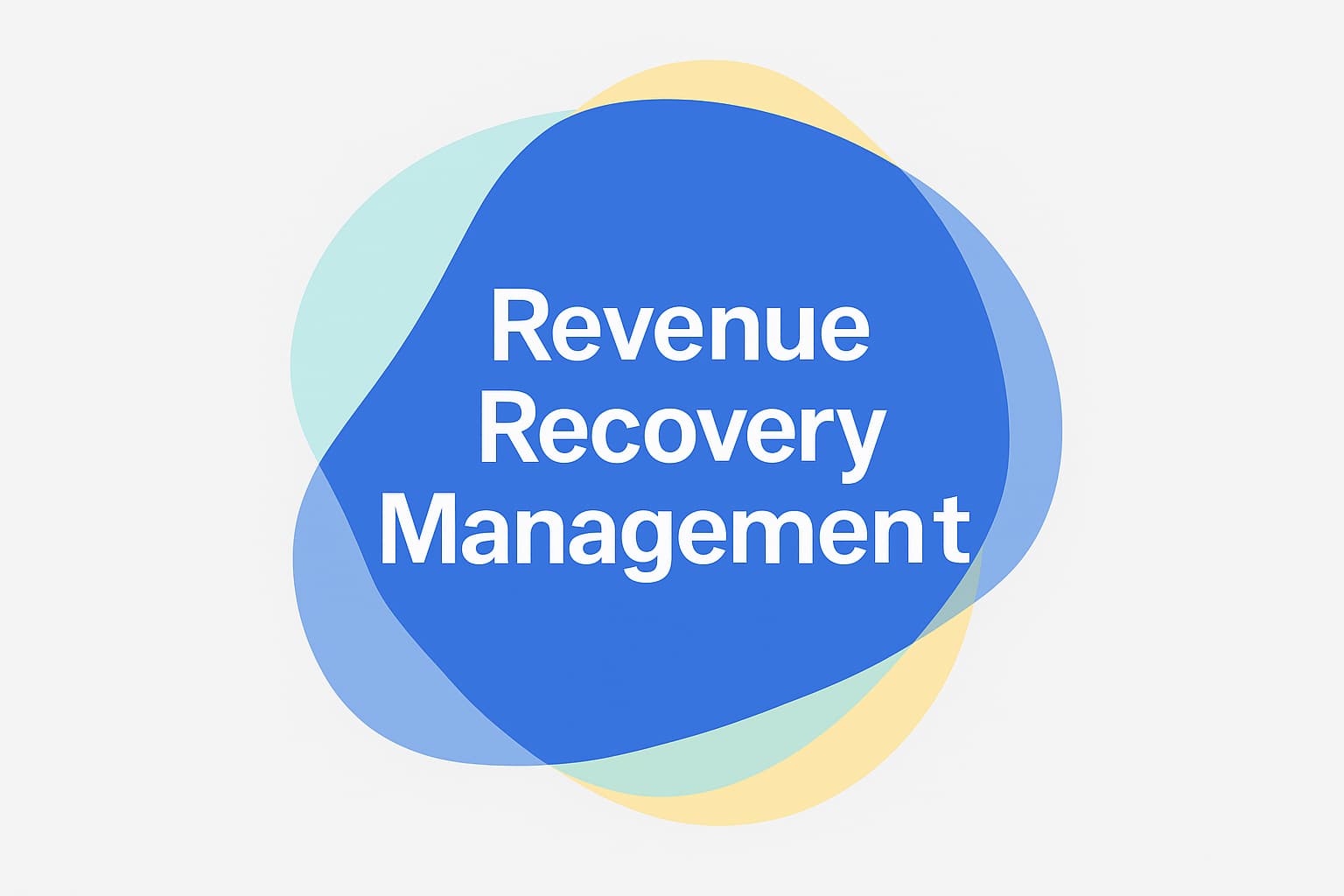 amazon_revenue recovery management